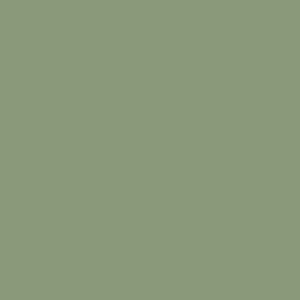 Chartwell Green - RAL 6021
