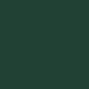 Garage doors RAL colours